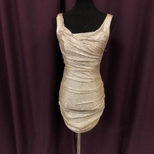 Express Silver Rushing Dress